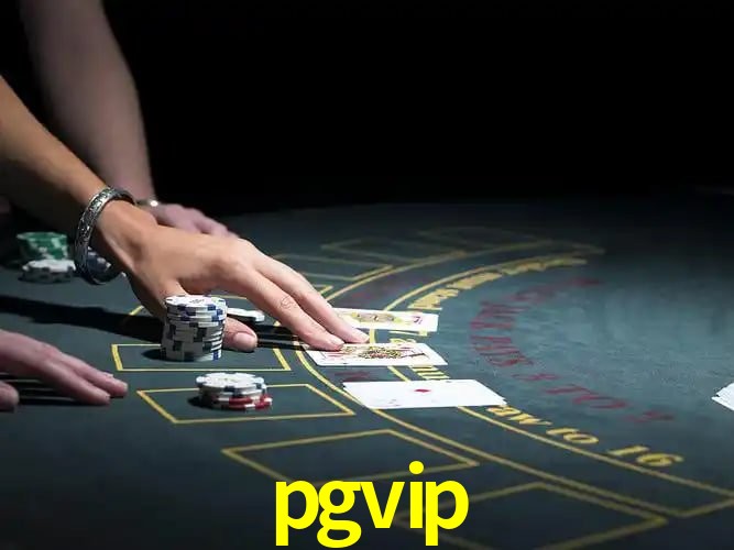 pgvip Salvador - Support
