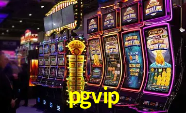pgvip Rio de Janeiro - Bonus Terms